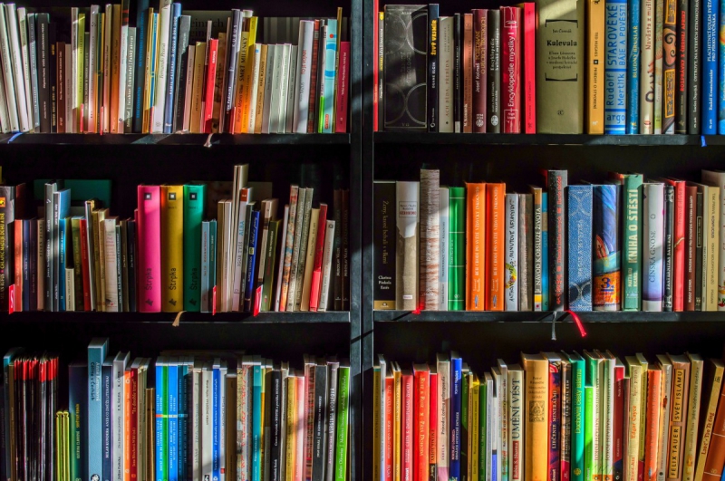 vitrine-LA TOUR-min_books_bookstore_book_reading_shop_writer_sale_books_read-822866