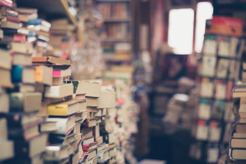 vitrine-LA TOUR-min_books_stack_book_store_stack_of_books_2nd_hand_retro_hipster_shop-829090